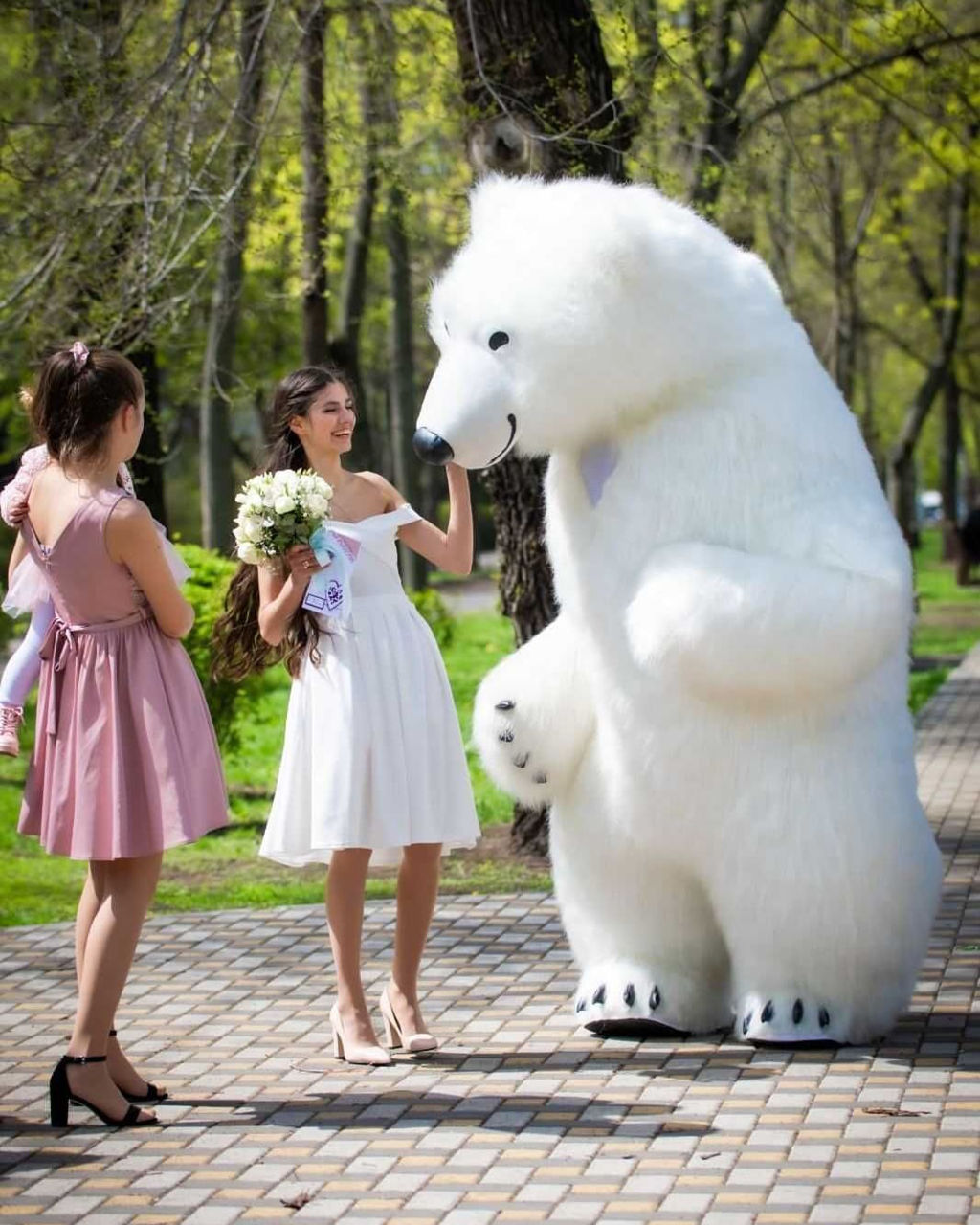 Музыкальное поздравление от Белого Медведя и от Кролика. Felicitare de la Ursul Alb și Iepuraș. фото 4