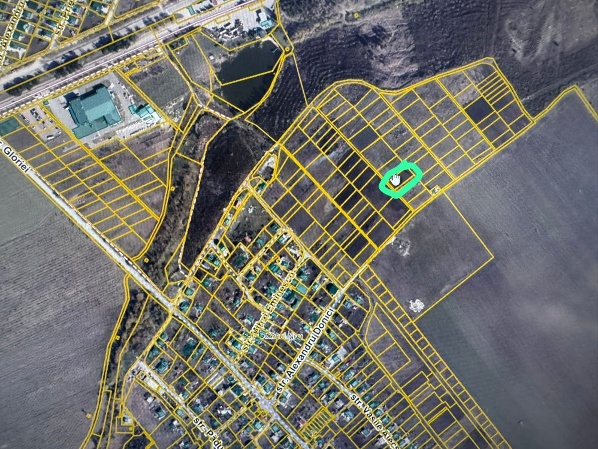 Goianul Nou Teren 11 ari