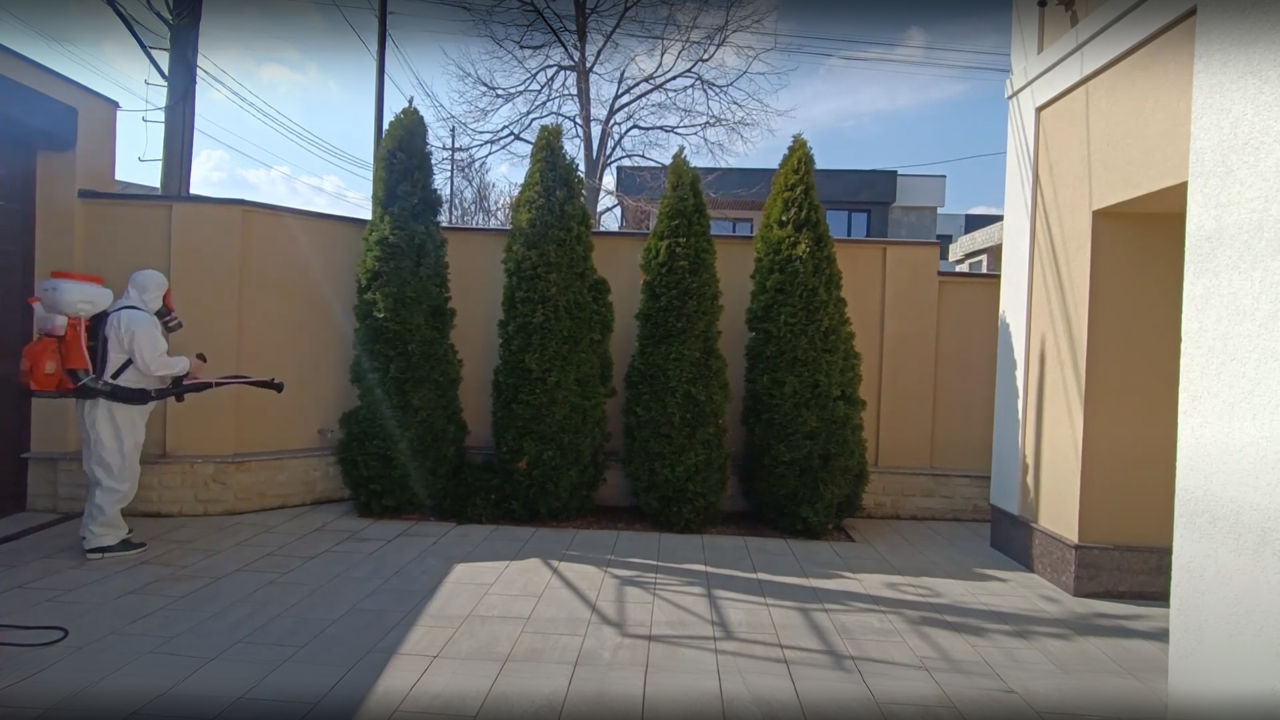 Дезинфекция уничтожение клопов тараканов муравьёв фото 5