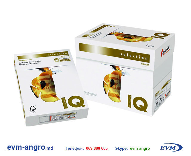 company selection paper company selection paper