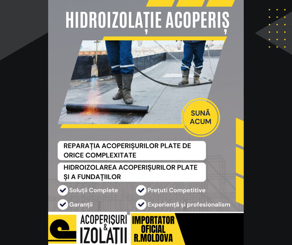 Reparatii si Remedieri Acoperisuri foto 0