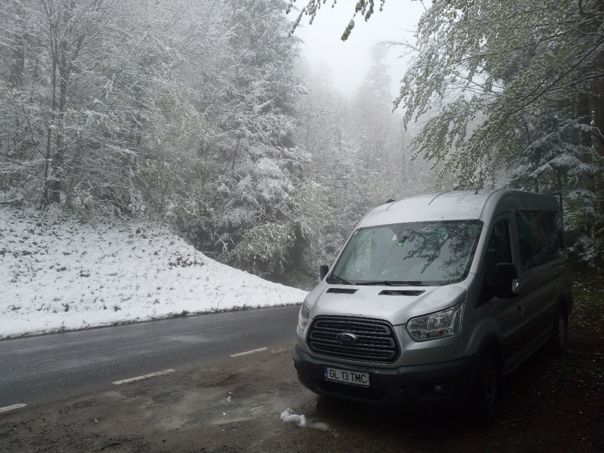 Ford Transit Connect foto 2