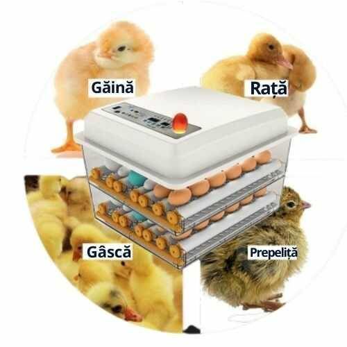 Incubatoare ouă Automate fii in rind cu tehnologiile noi foto 5