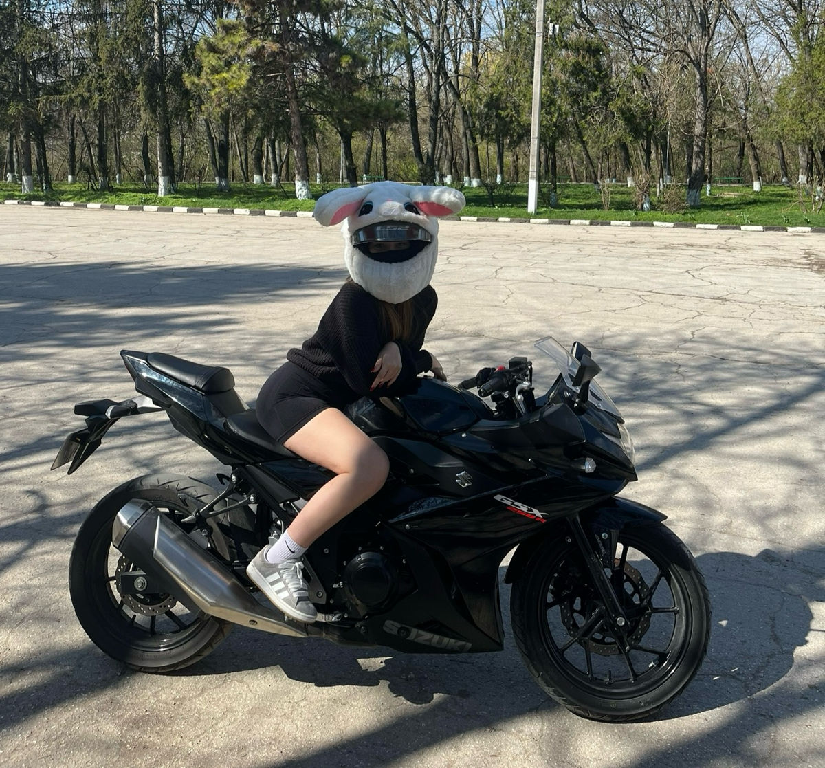 Suzuki GSX250R foto 2