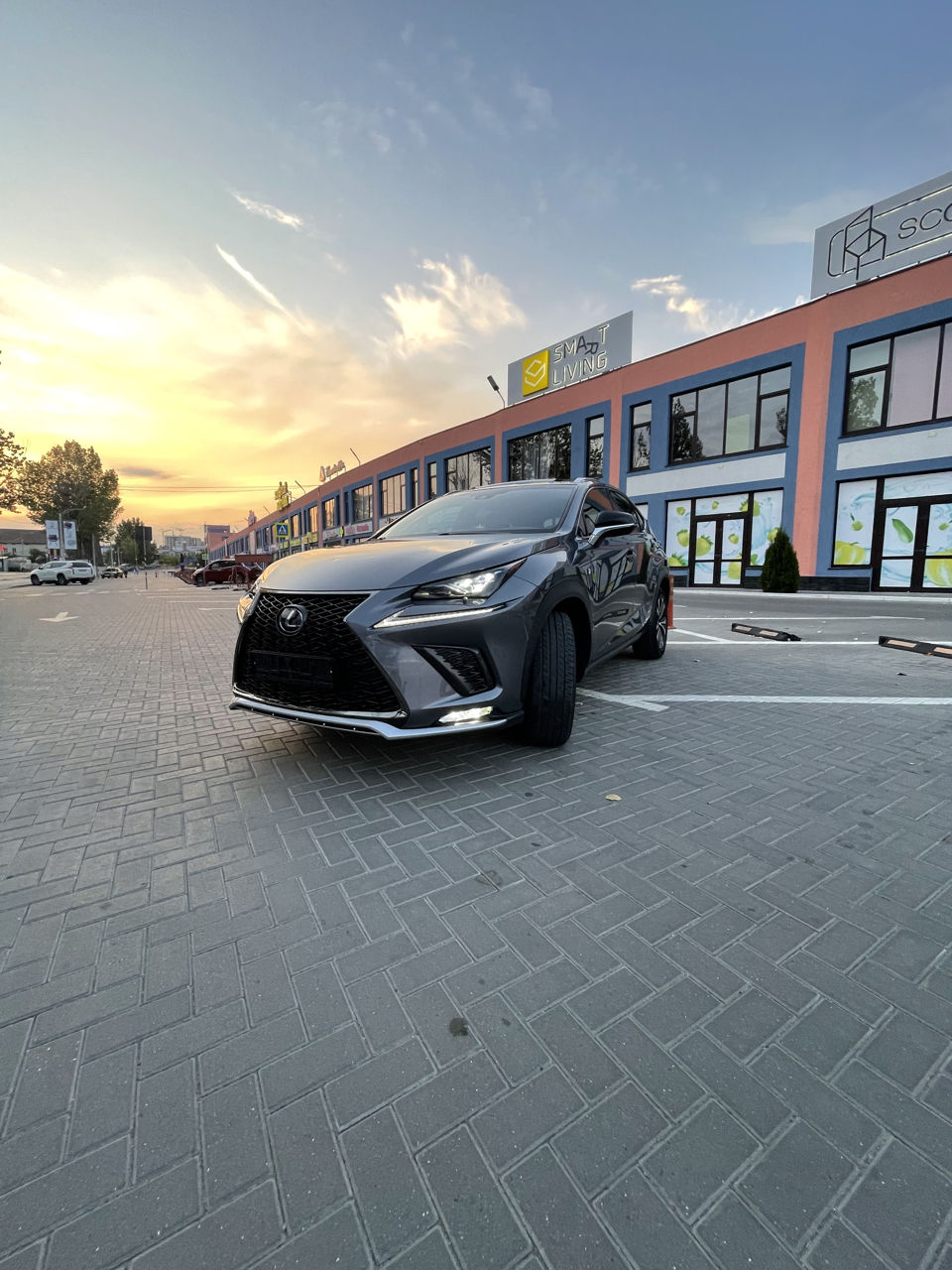 Lexus NX Series foto 2