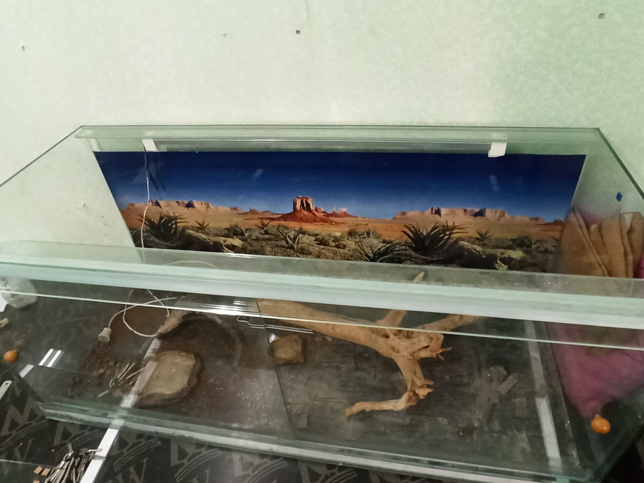 Terariu din sticla, uzat foto 2