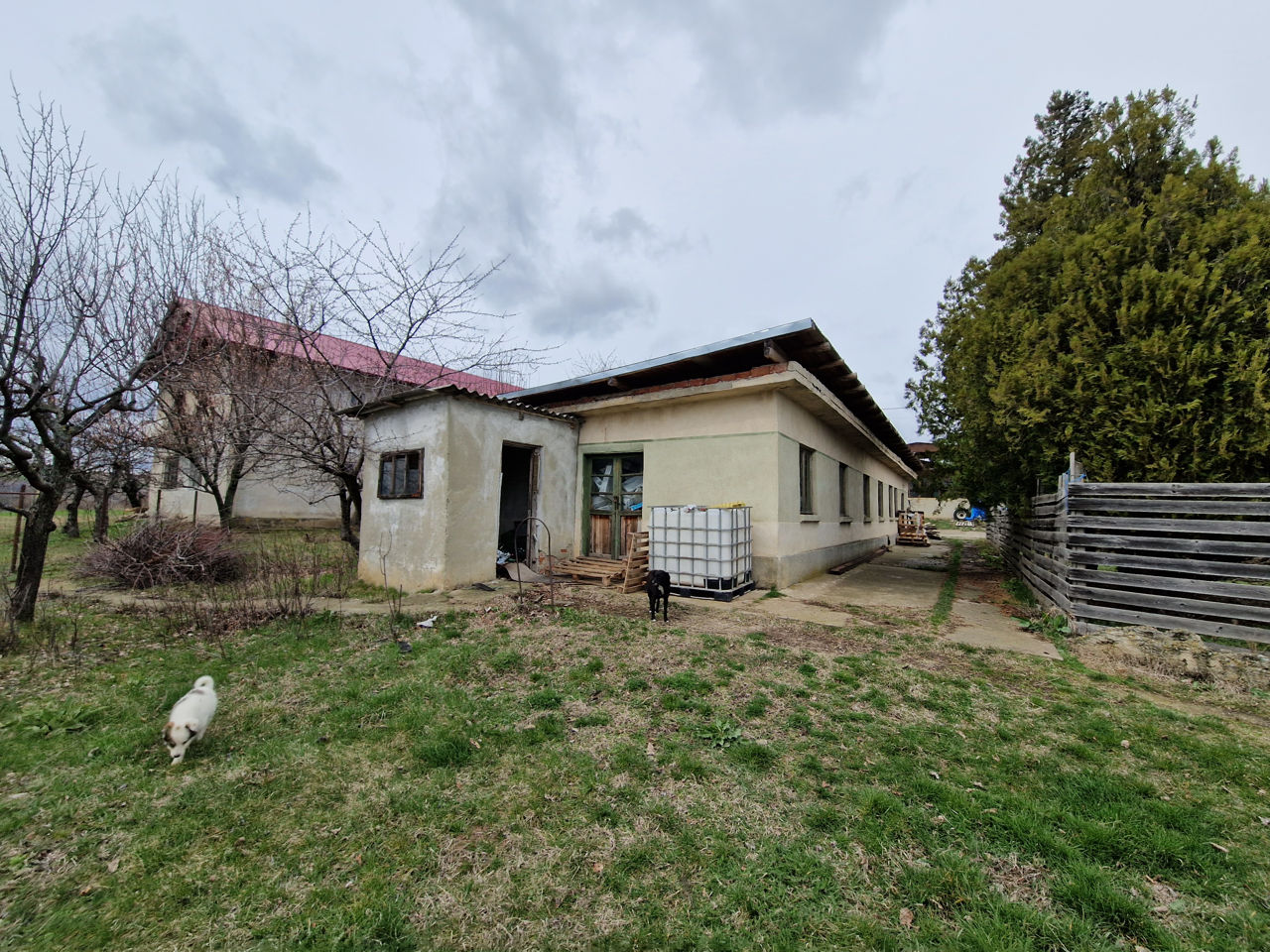Ferma de pesti Romania foto 19