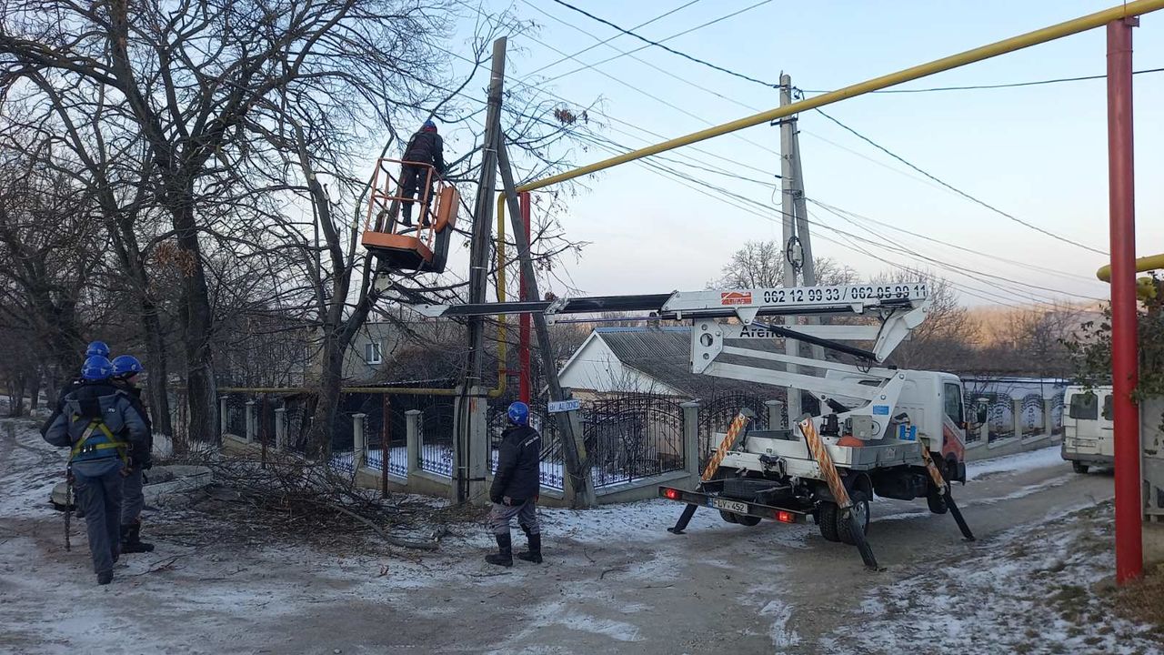 Taierea copacilor, crengilor, lucrari la inaltime cu Autoturnul! foto 15