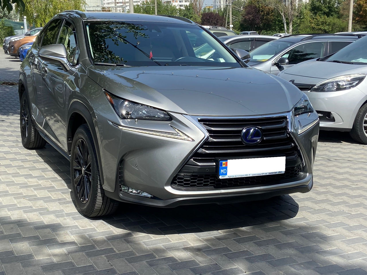 Lexus NX Series фото 0