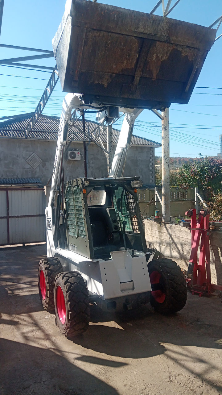 Bobcat фото 0