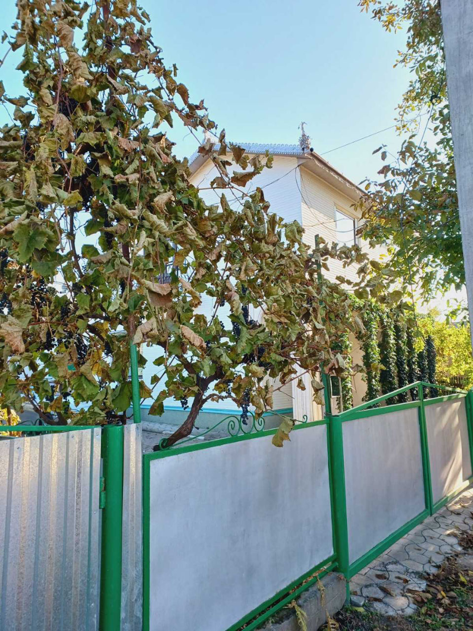 Casa cu beci si fântână foto 3