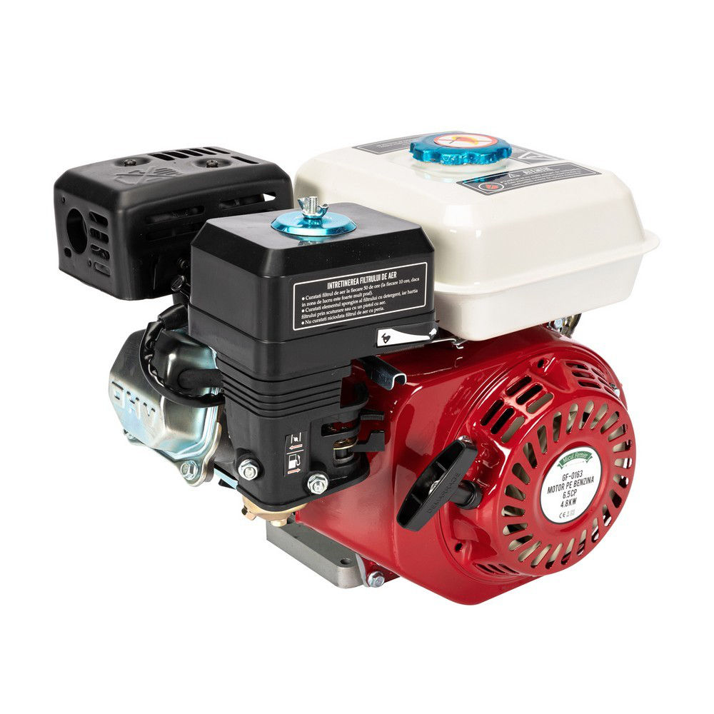 Motor benzina 6/5 C:P Sponka Micul Fermier / Achitare 6-12 rate / Livrare / Garantie 2 ani фото 1
