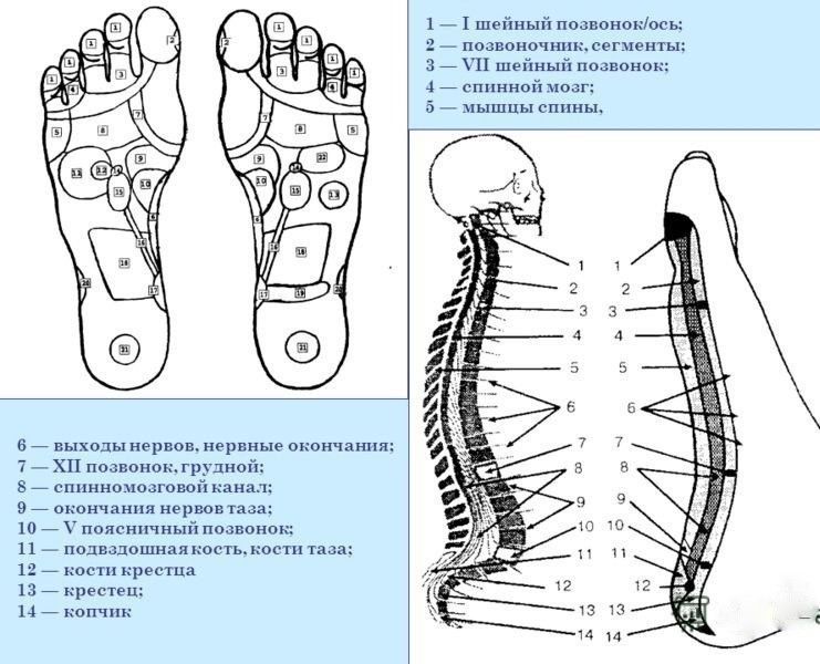 Акупунктурный аппликатор спины foto 5