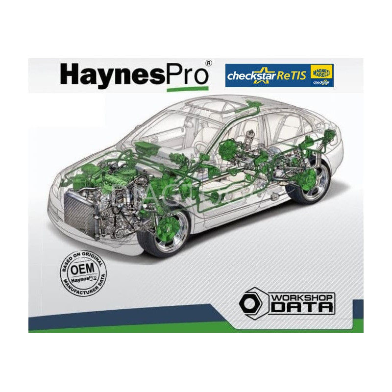 Haynes PRO Database Official фото 6