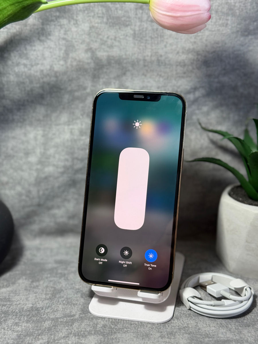 iPhone 12 Pro Max 256 Gb foto 3