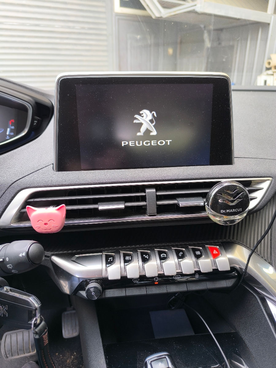 Peugeot/ Citroen. CarPlay. Камера заднего вида. foto 3