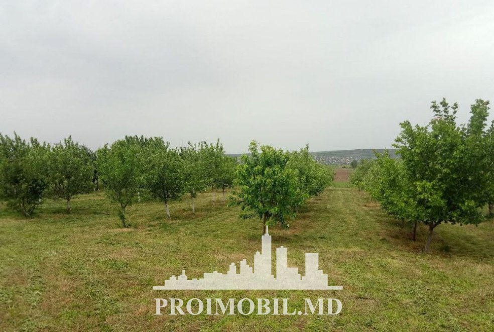 Spre vânzare teren agricol 12 ari, în Sângera! foto 1