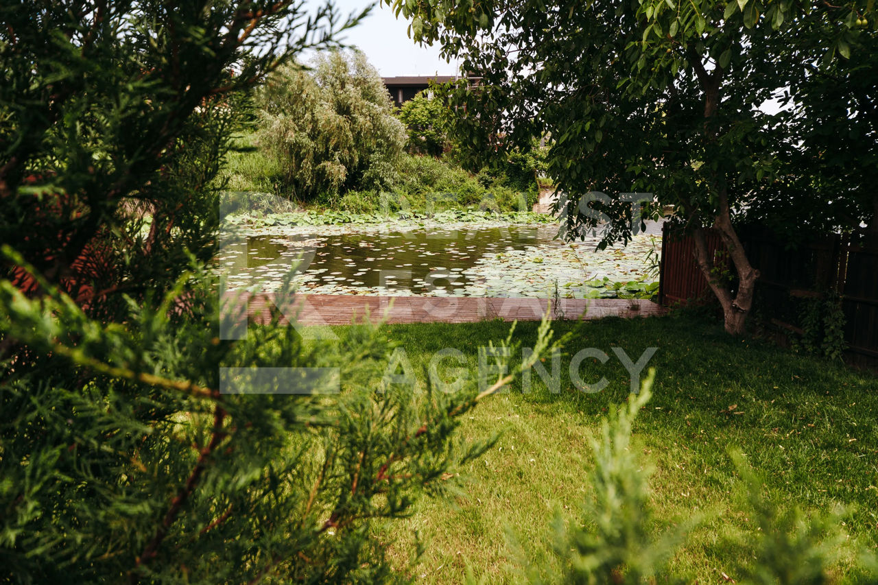 Casa cu piscina si iesire la lacul Snagov, 4 camere foto 8