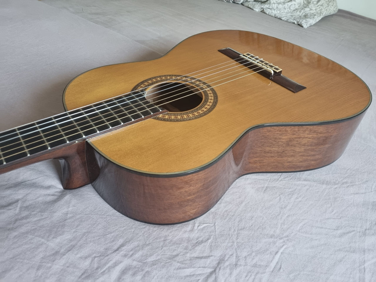 Chitara ghitara гитара , Ibanez: GA50, ,  Ibanez GA80 foto 4