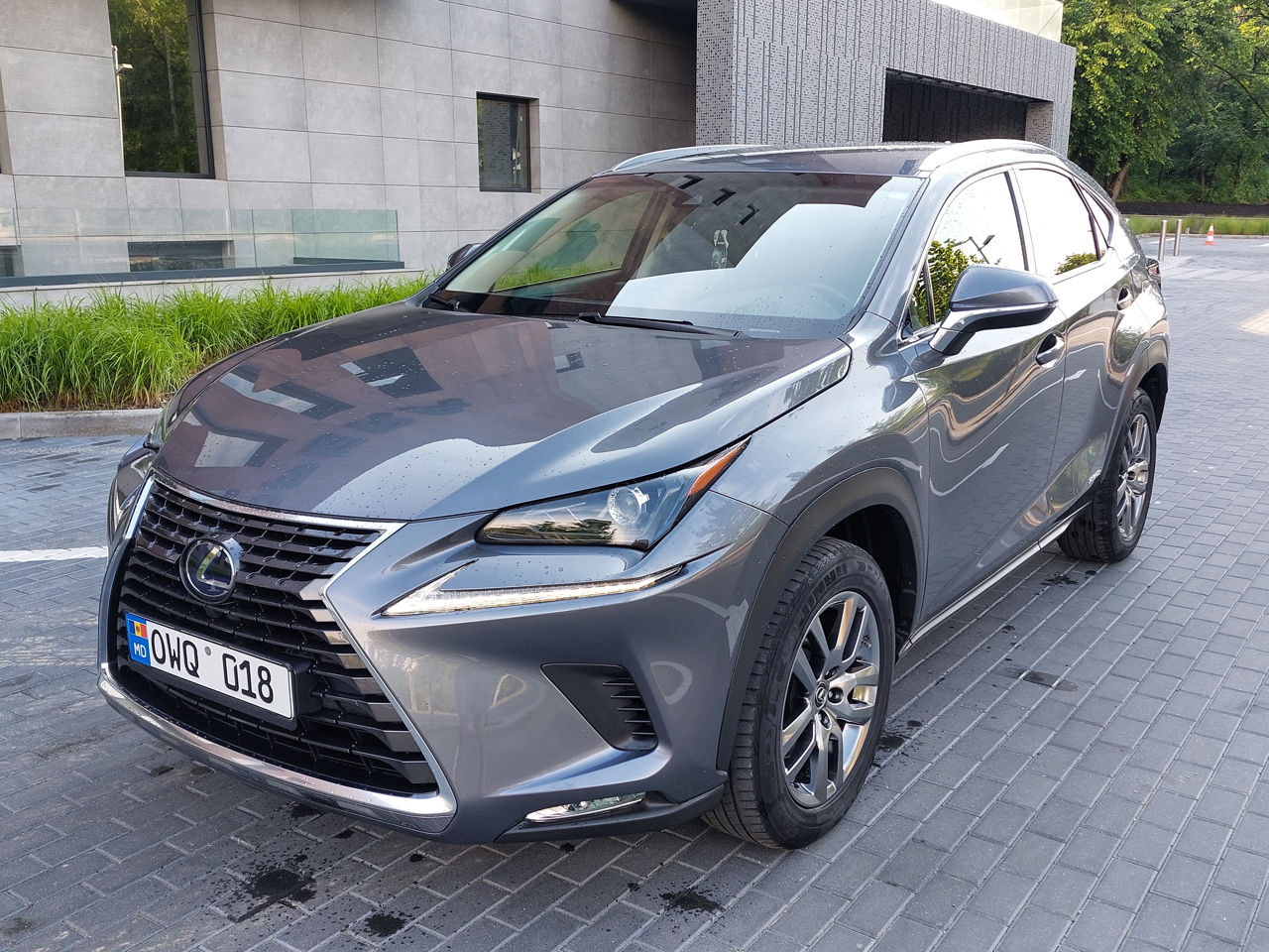 Lexus NX Series foto 7