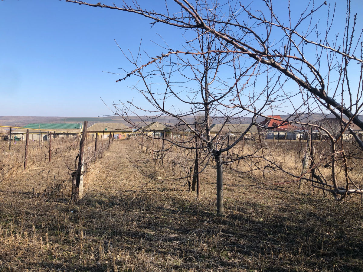 Продам дом в с.Конгаз фото 7