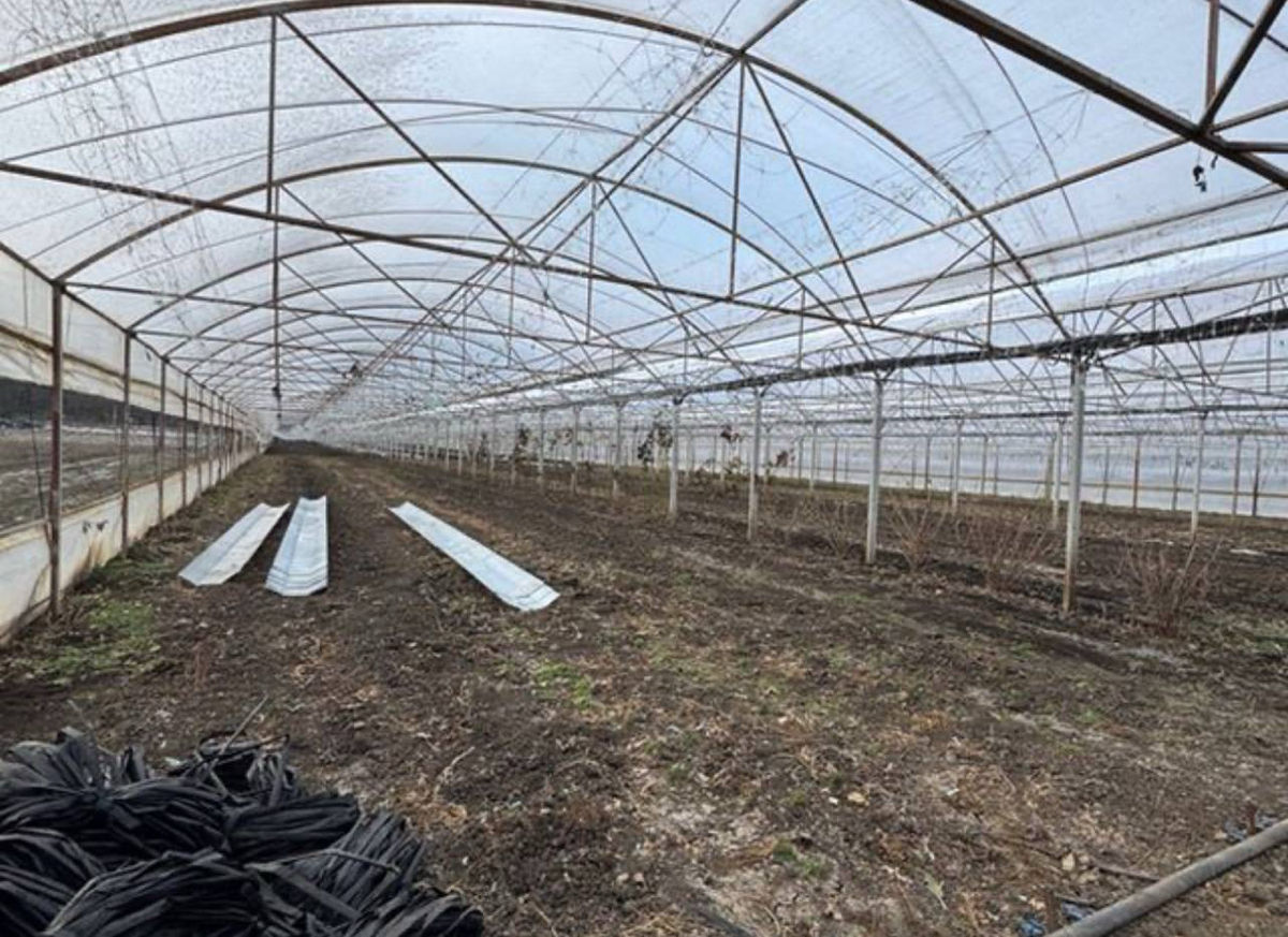 Satul Humulesti ! Teren 3,7 ha ( Gradina ), lingă pădure ! foto 7