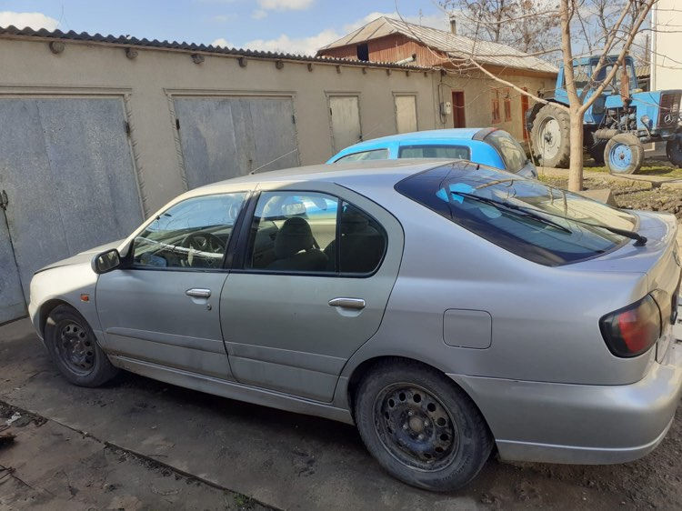 Nissan Primera foto 6