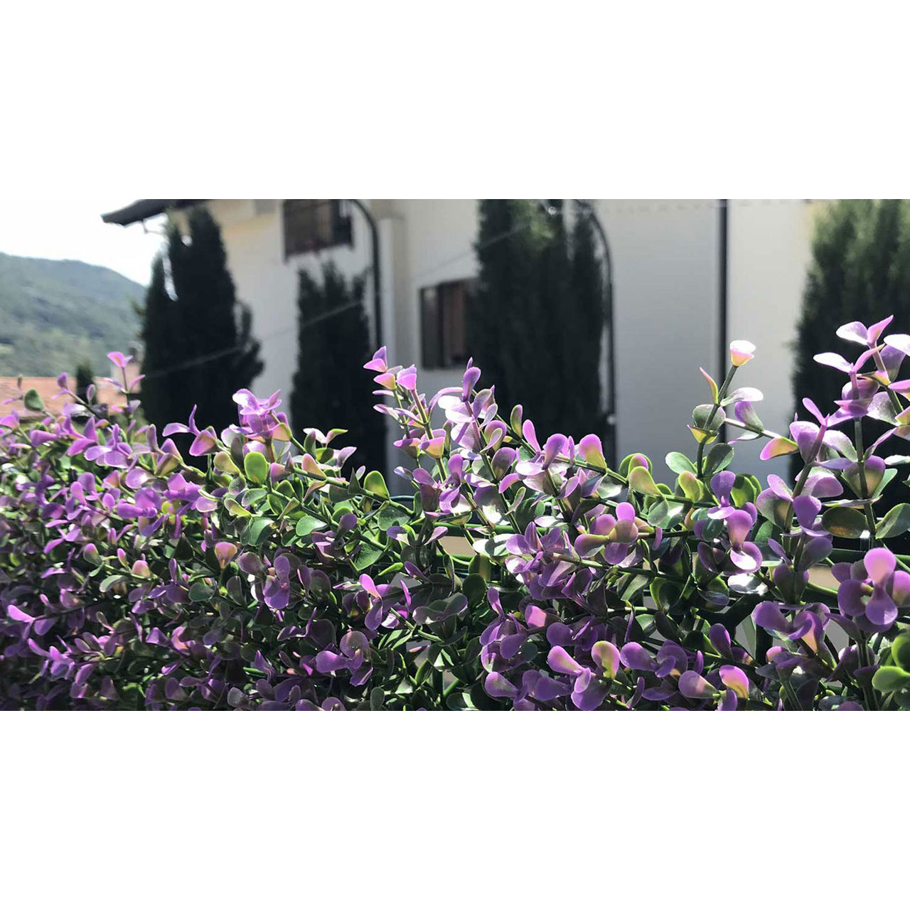Perete Decorativ Tenax Divy 3d Panel Buxus Lilac 100x100cm foto 5