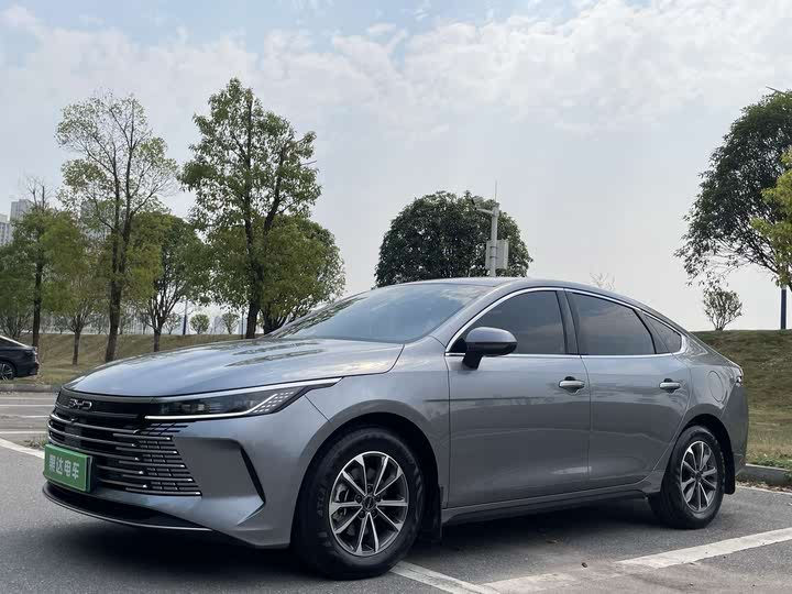 Byd Destroyer 05 фото 0