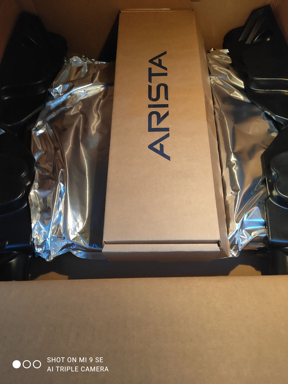 Arista