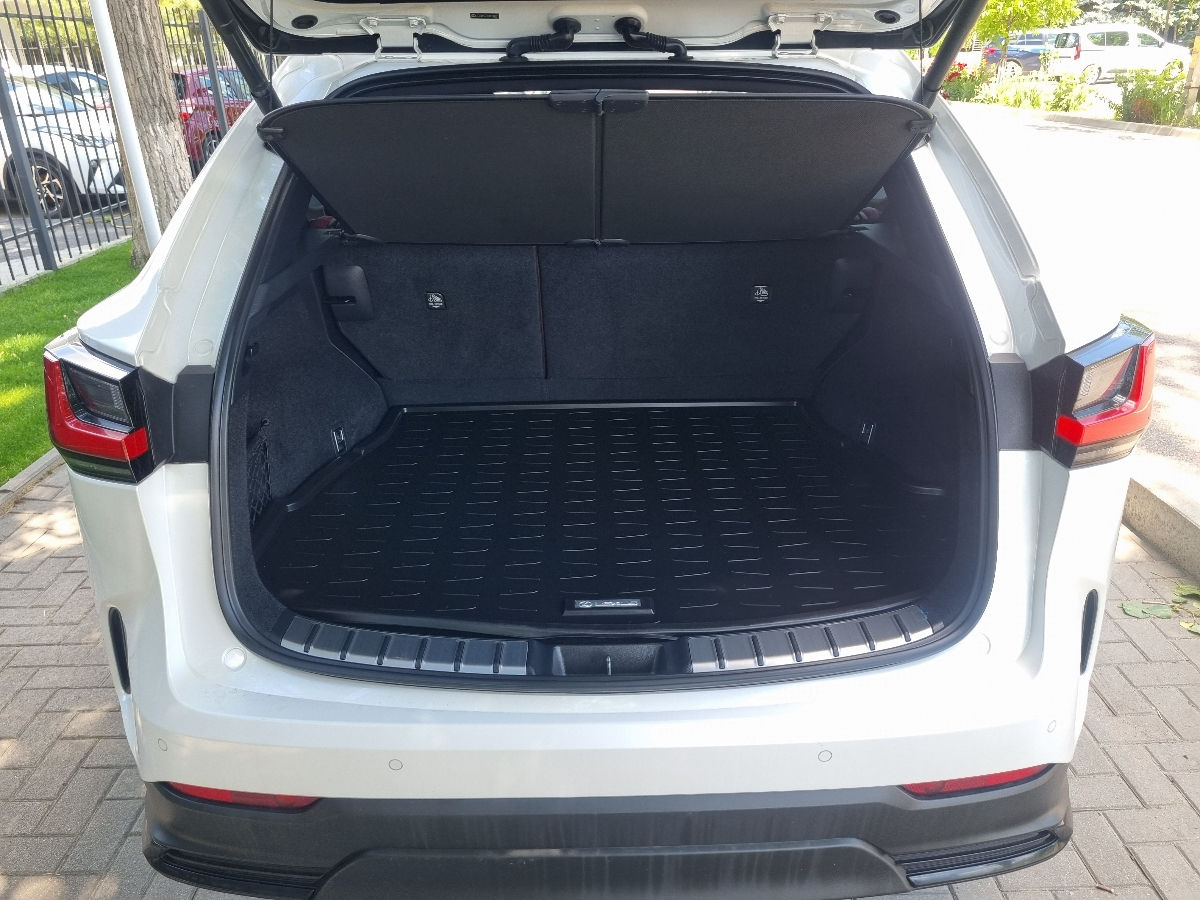 Lexus NX Series 2022 photo 19