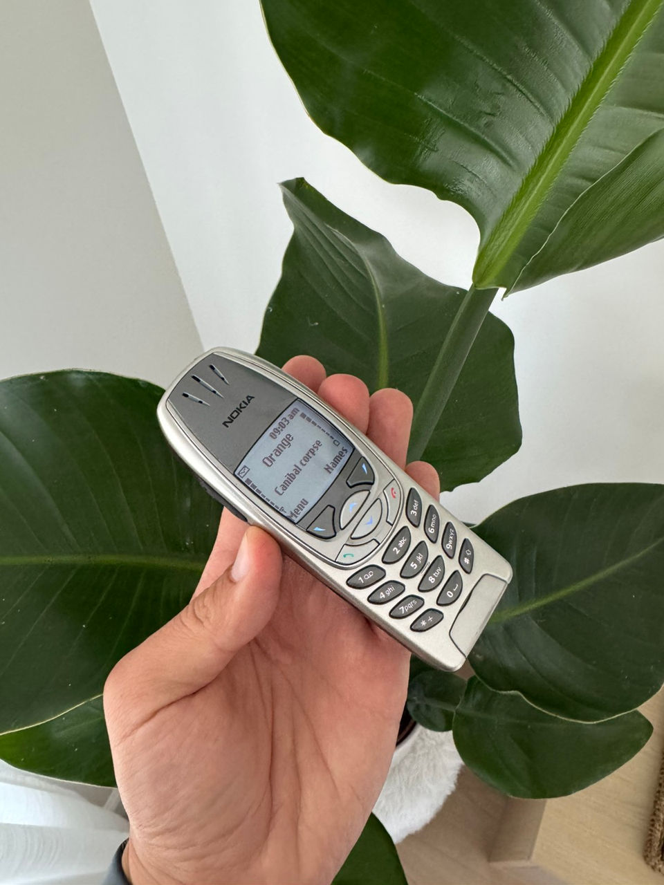 Nokia 6310i foto 3