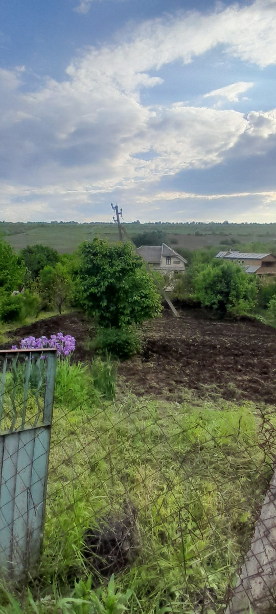 Terrain