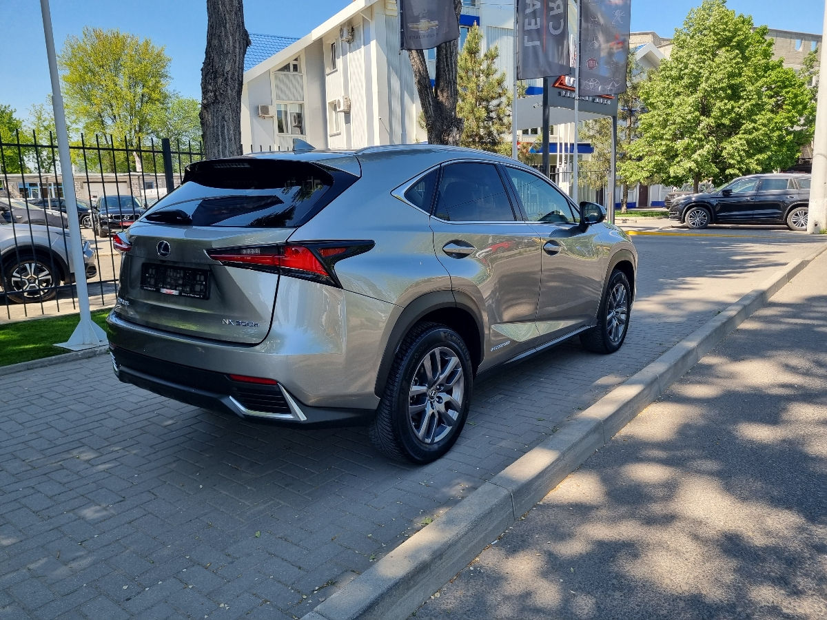 Lexus NX Series 2018 photo 5