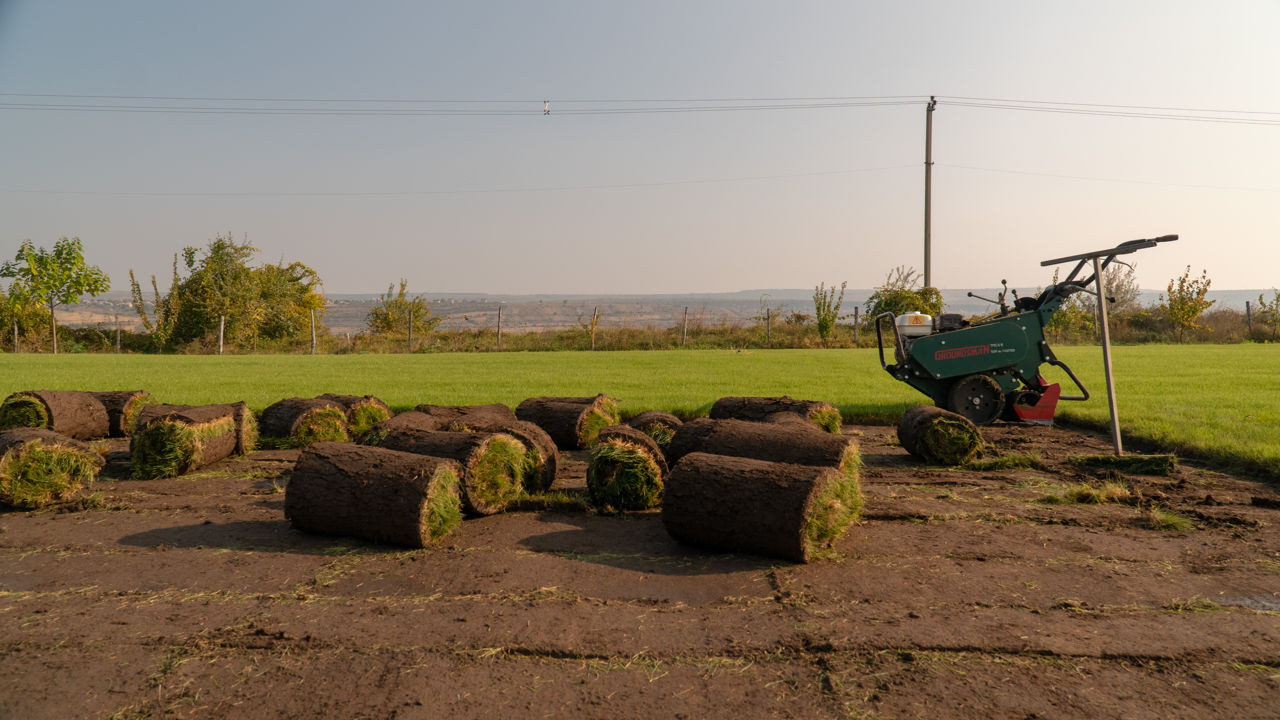 Rulouri de gazon natural spre vânzare foto 1