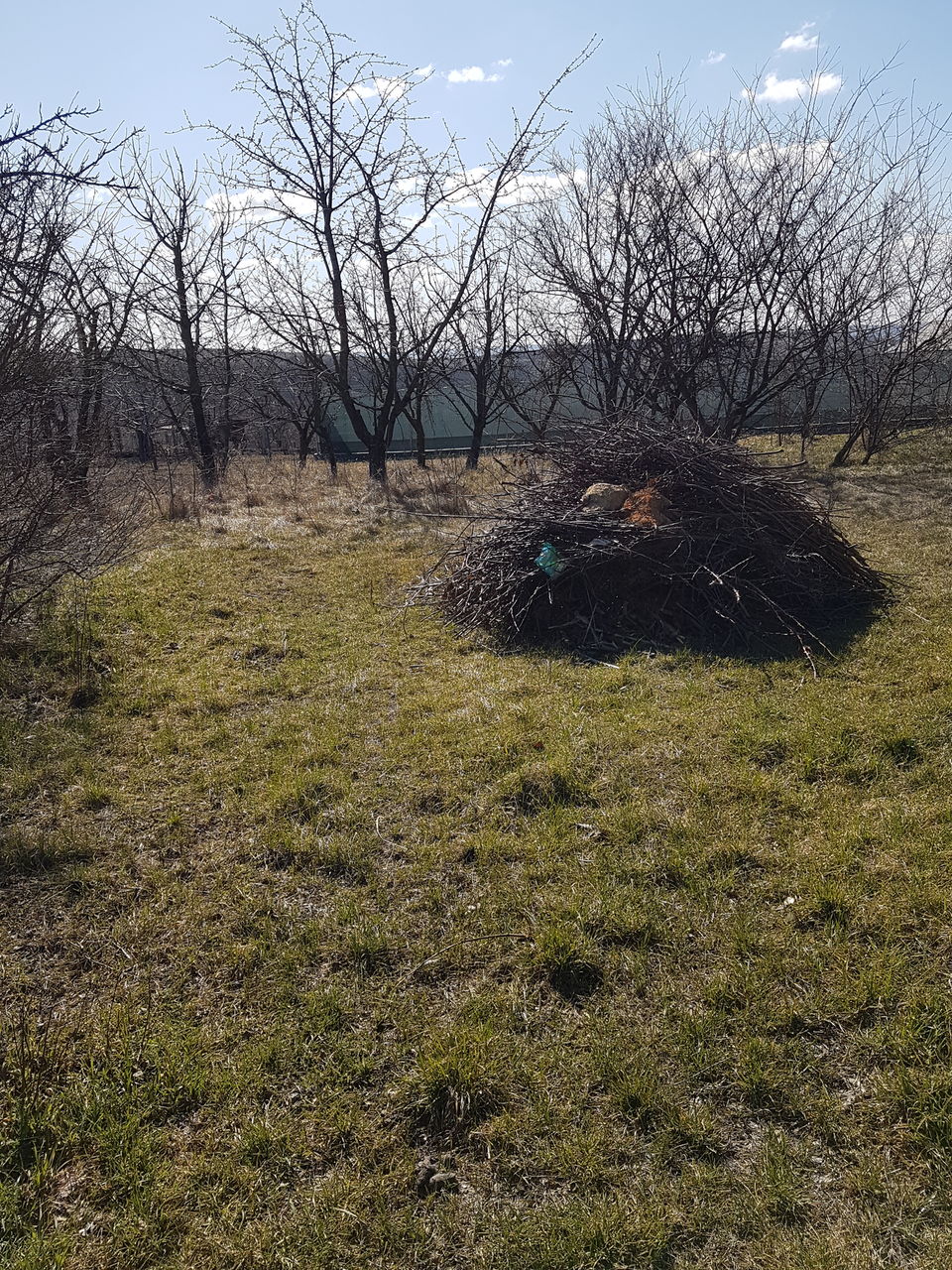 Curatenie pe teren Curatenie in gradina  Уборка огорода foto 6