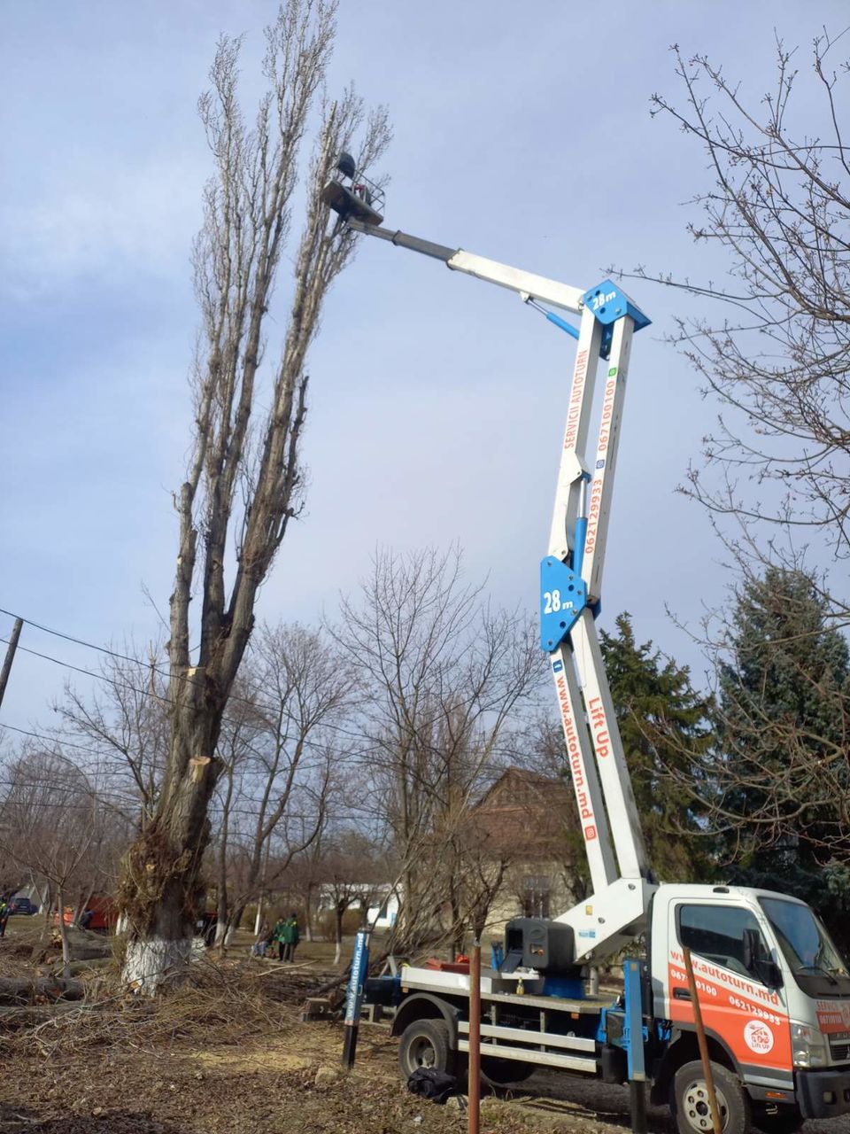 Servicii de tăiere copaci!!! Echipament modern, rapid si calitativ! foto 11