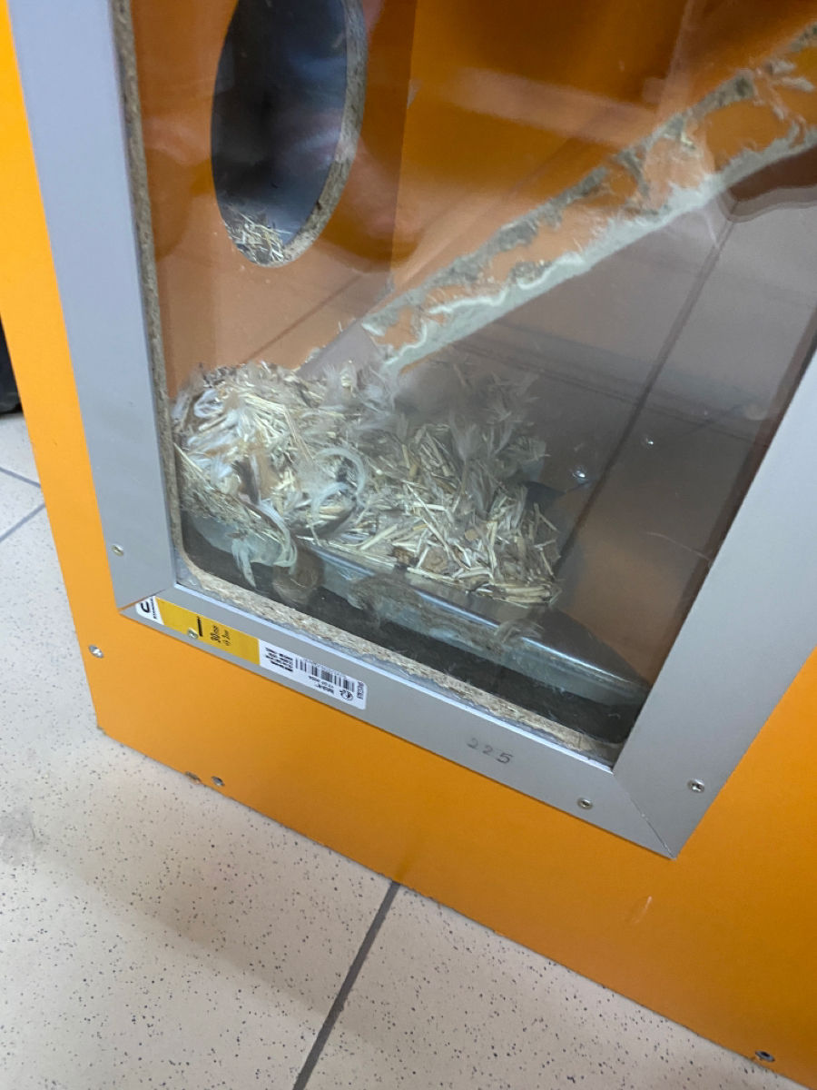 Curatare pernelor cu puf si pene foto 5