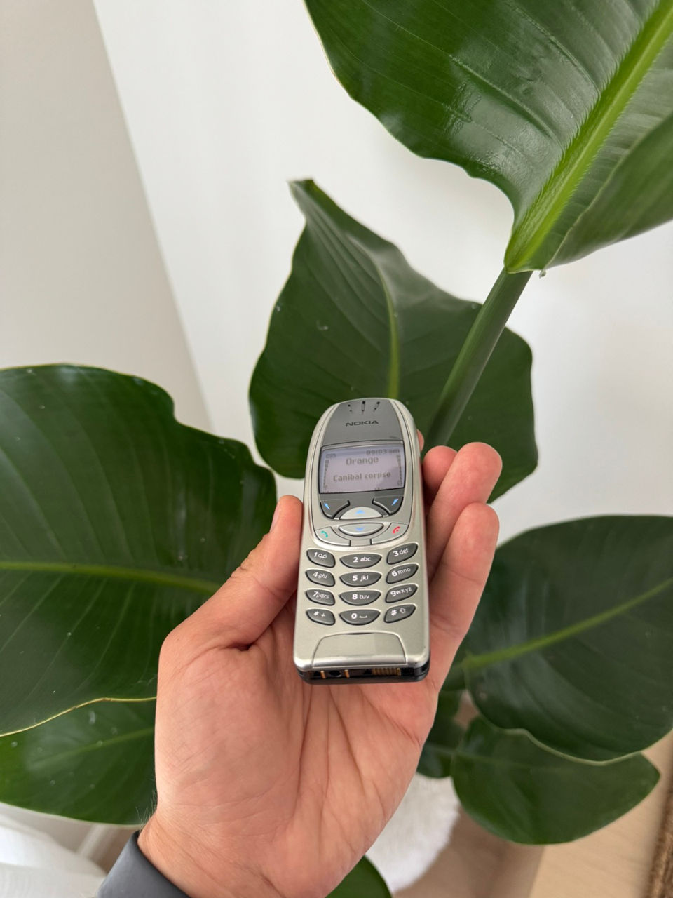 Nokia 6310i foto 4