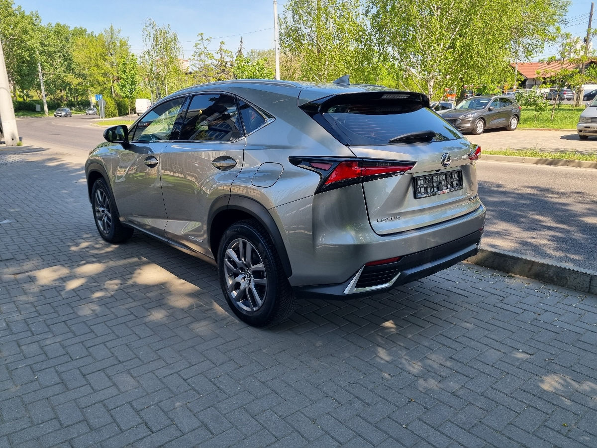 Lexus NX Series 2018 photo 7