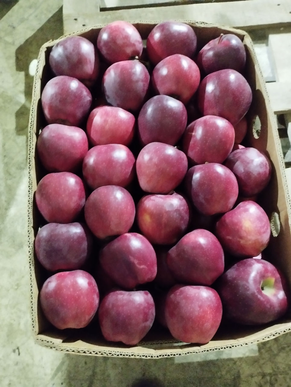 Куплю яблоки