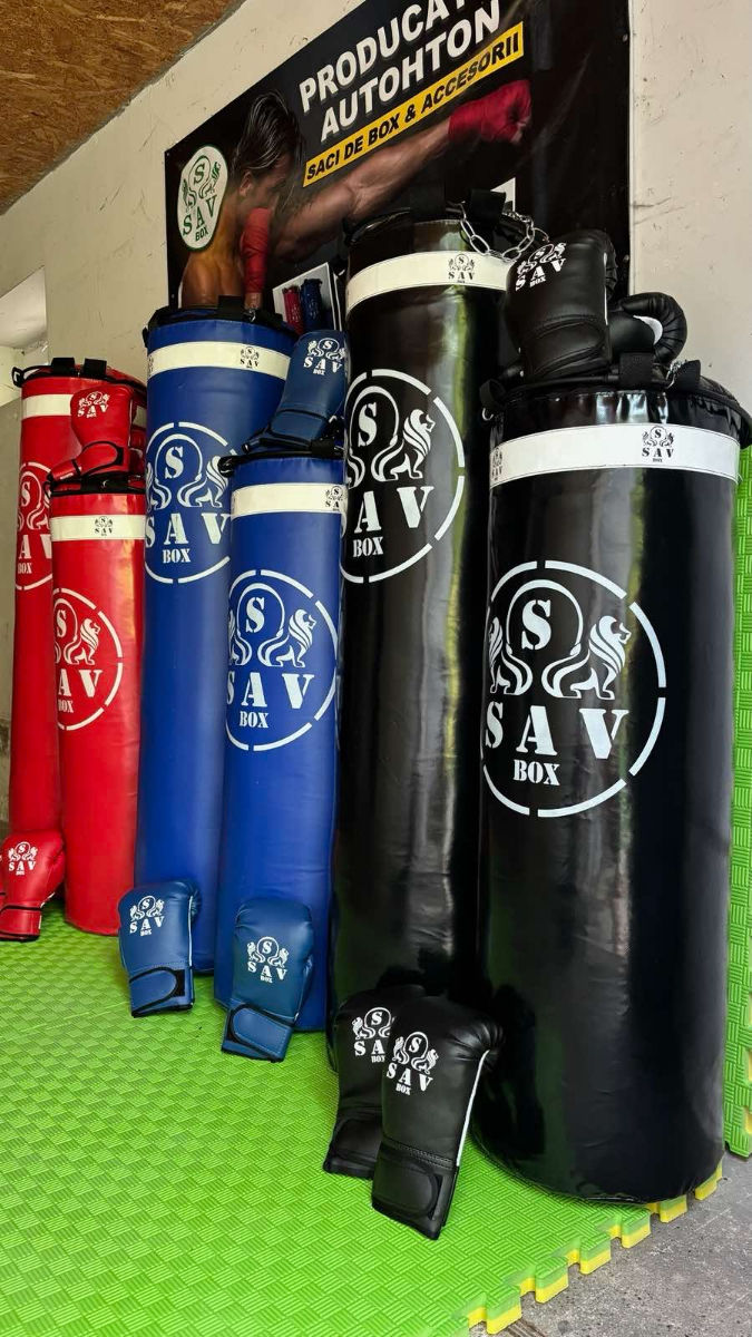 Sac de box  plus mănuşi  foto 0