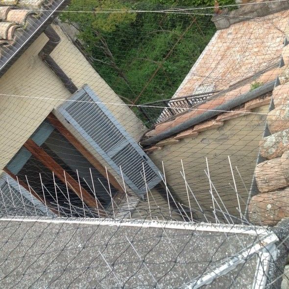 Protectie impotriva pasarilor- instalare , servicii auto turn... foto 2
