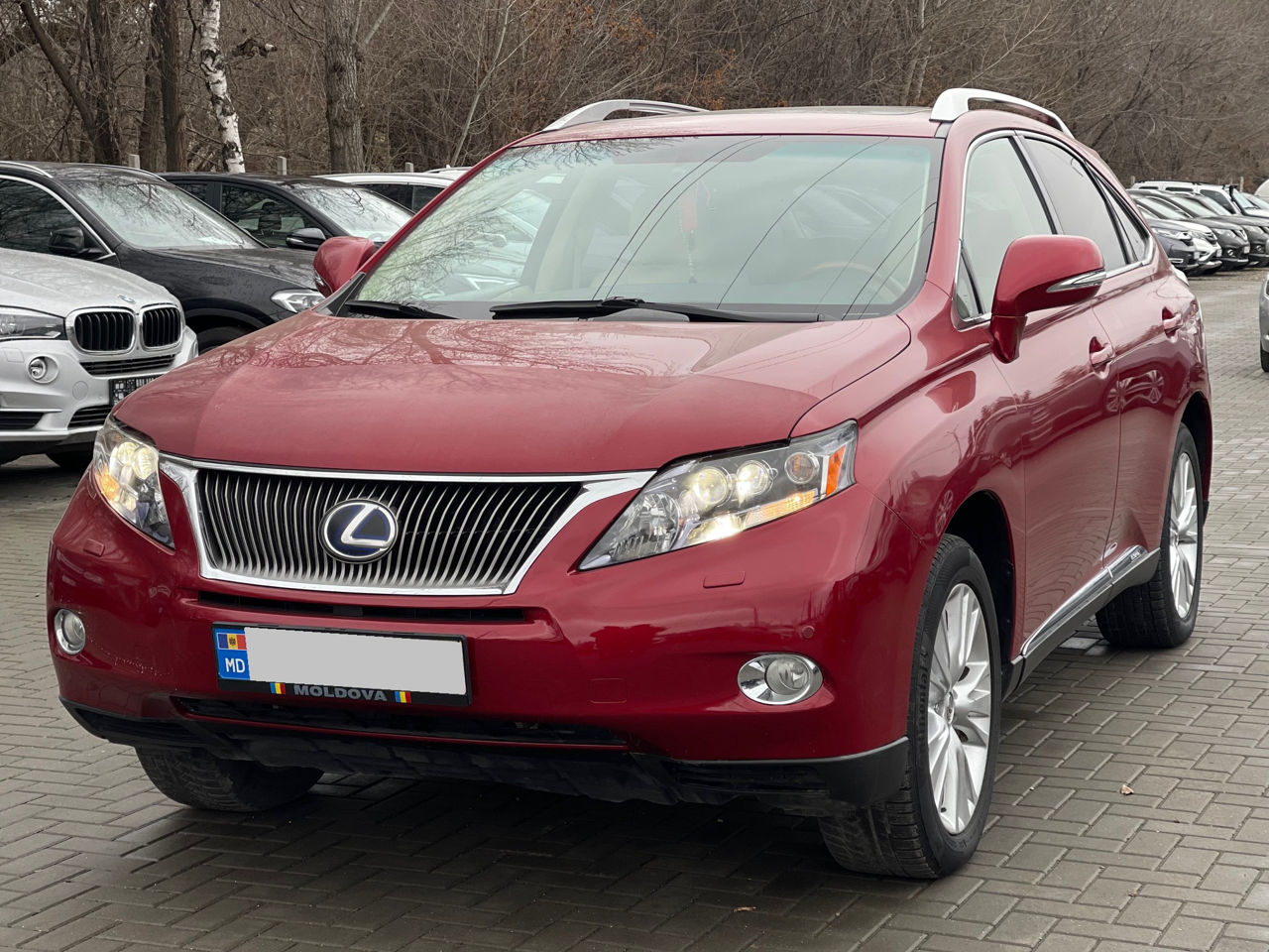 Lexus RX Series фото 1