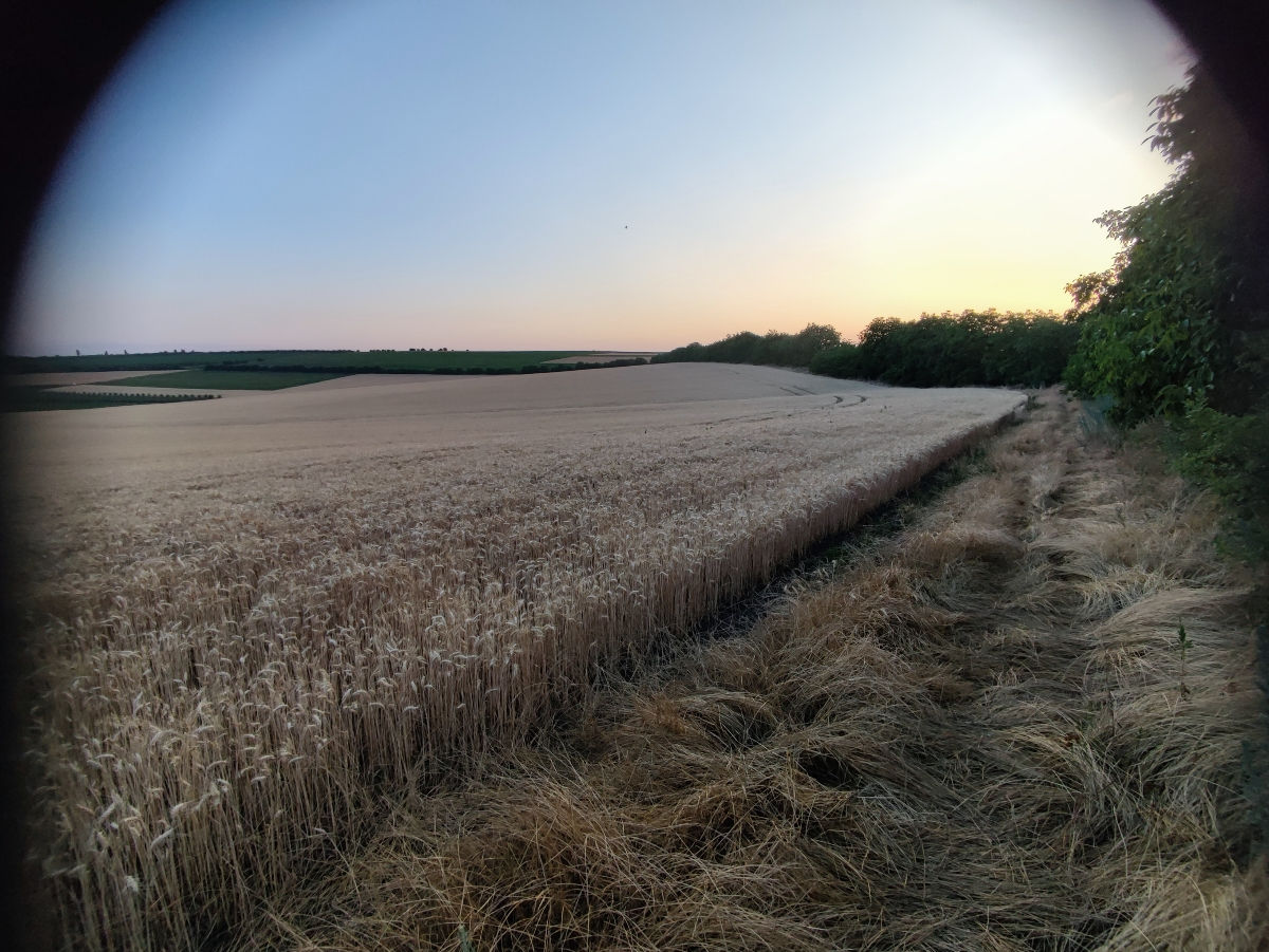 Cota 1.90Ha Bubuieci Urgent foto 0