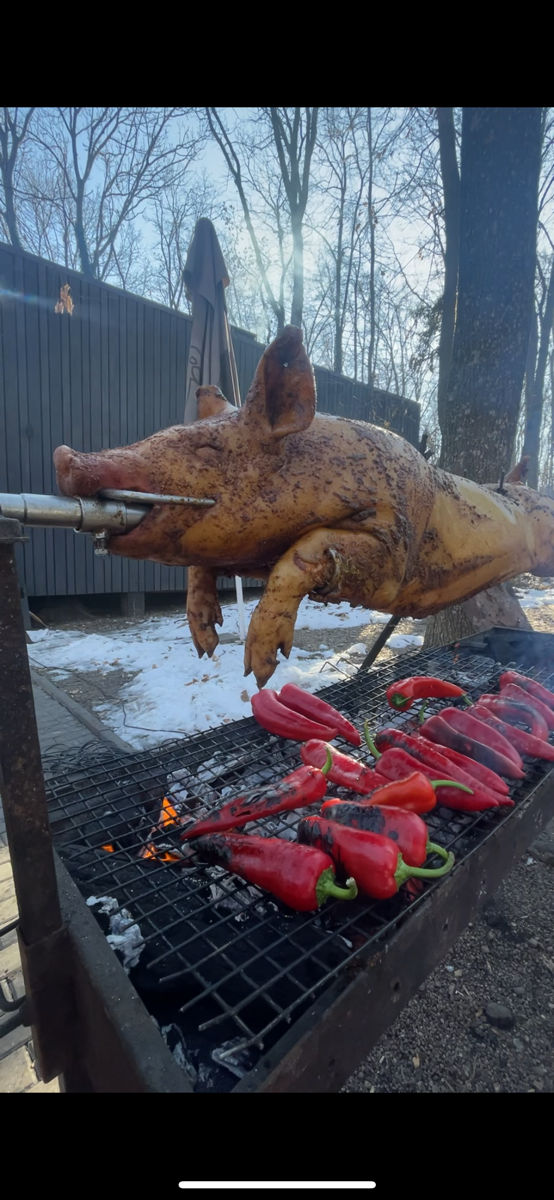 Servicii catering purceluș coorporativ foto 2
