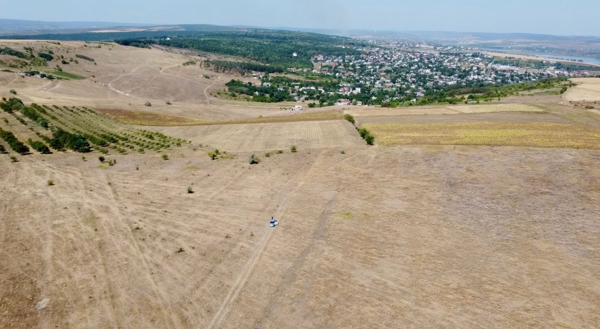 11 hectare consolidate Ialoveni s. Sociteni foto 1