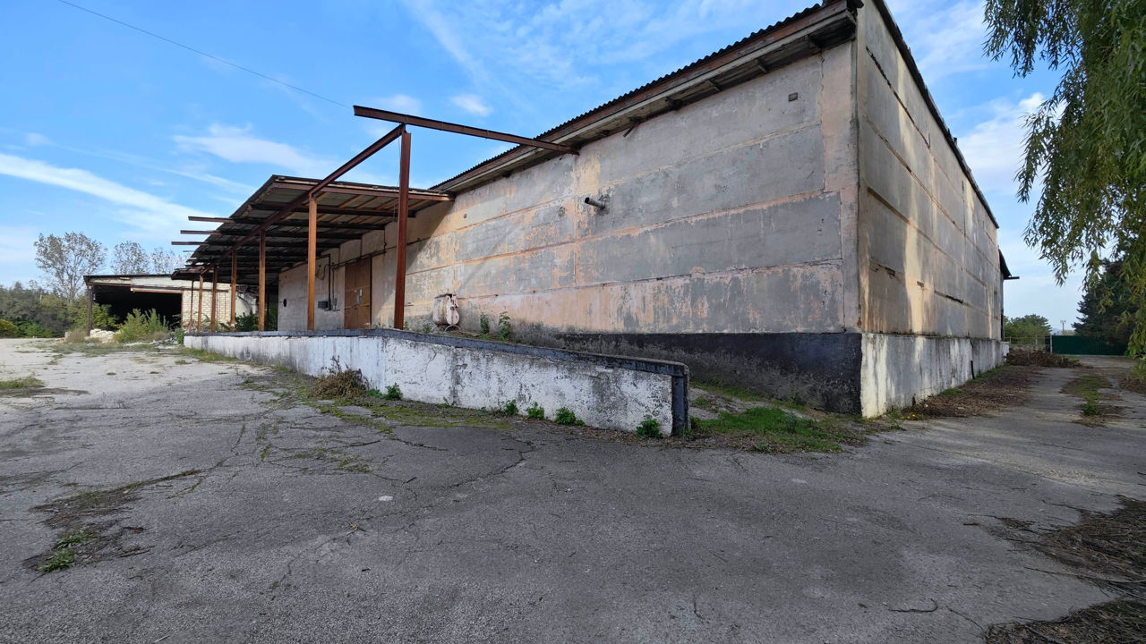 1500 m², depozit