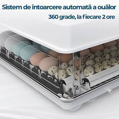 Инкубатор Техно Мс130 фото 5