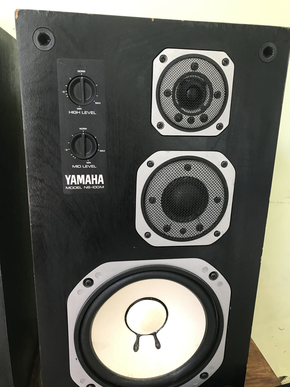 Yamaha ns-100m